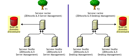 Deux arborescences eDirectory avec les arborescences d'inventaire ZENworks 6.5 Server Management et ZENworks 6.5 Desktop Management sur chacune.