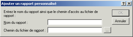 Bote de dialogue Ajouter un rapport personnalis