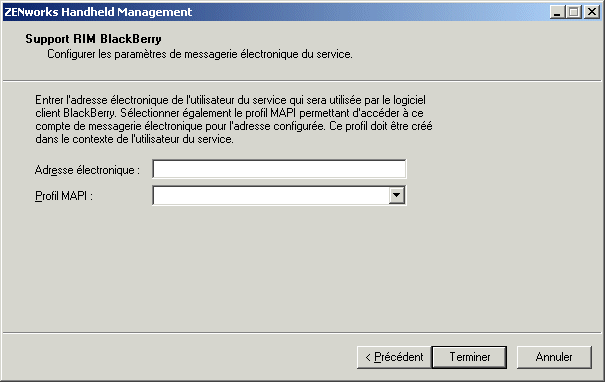 Page Support RIM BlackBerry