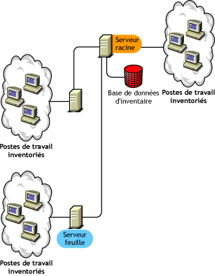 Le serveur racine au niveau le plus élevé avec des postes de travail inventoriés. Plus d'un serveur feuille est également attaché à ce serveur racine avec des postes de travail inventoriés.