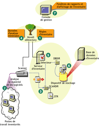 Cycle d'analyse de l'inventaire sur le serveur autonome auquel sont attachés des postes de travail sur lesquels le client Novell est installé.