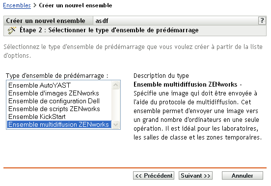 Étape 2 de création d'un nouvel ensemble : sélectionner le type d'ensemble de pré-lancement