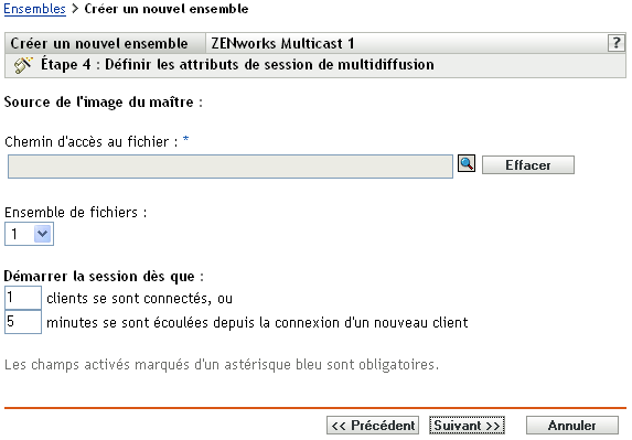 Étape 4 page de création d'un nouvel ensemble : source de l'image du maître (champs Chemin d'accès au fichier et Ensemble de fichiers)
