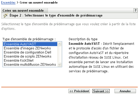 Étape 2 page de création d'un nouvel ensemble : sélectionner le type d'ensemble de pré-lancement