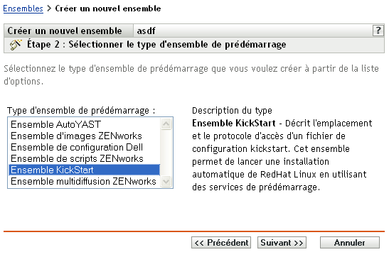 Étape 2 page de création d'un nouvel ensemble : sélectionner le type d'ensemble de pré-lancement