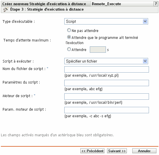 Page Règle d'exécution à distance