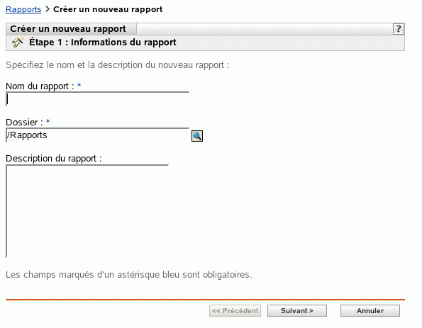 Page Informations du rapport