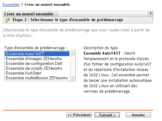 Étape 2 - page de création d'un nouvel ensemble : Sélectionner le type d'ensemble de pré-lancement