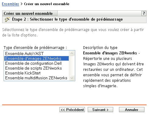 Étape 2 - page de création d'un nouvel ensemble : Sélectionner le type d'ensemble de pré-lancement