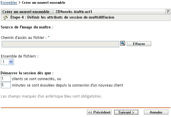 Étape 4 - création d'un nouvel ensemble : Source de l'image du maître (champs Chemin d'accès au fichier et Jeu de fichiers)