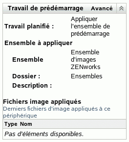 Section Travail de pré-lancement avec l'option Avancé