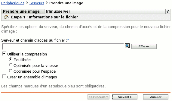 Étape 1 - page de création d'un nouvel ensemble : Informations sur le fichier (champs Serveur et chemin d'accès au fichier, Utiliser la compression et Créer un ensemble d'images)