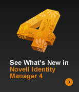 Novell Identity Manager 4