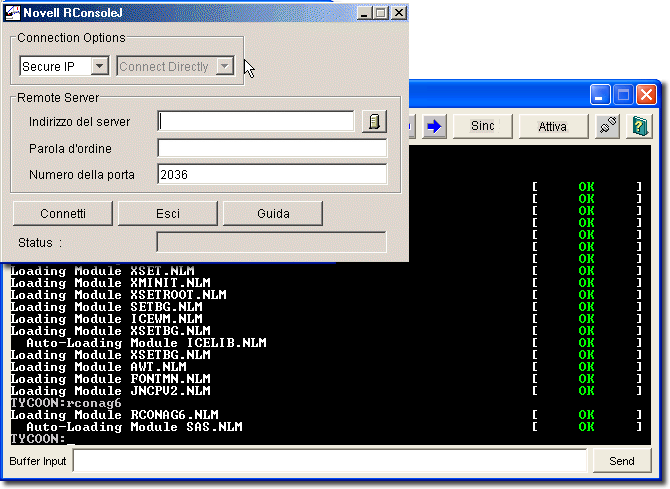 L'interfaccia di RConsoleJ.