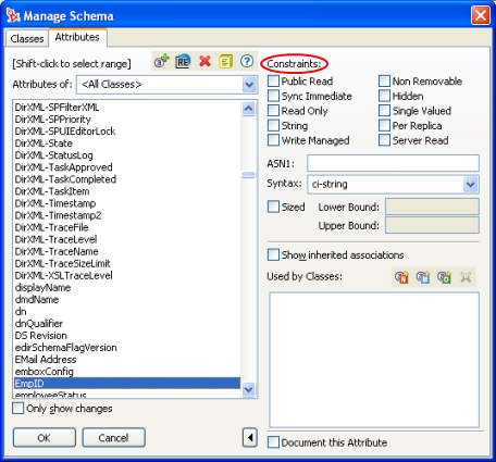 Constraints (制約)