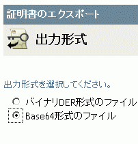 出力形式を指定するためのラジオボタン