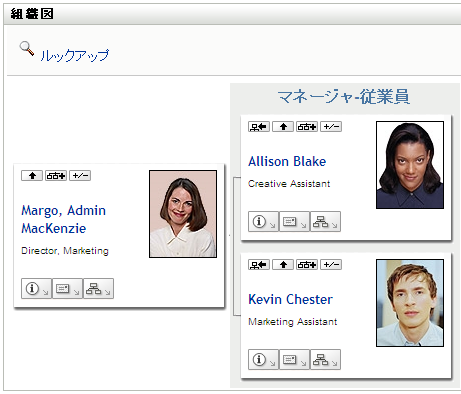 ［現在の関係の展開/縮小］ボタンは切り替え式になっています。  これは展開ビューの例です。