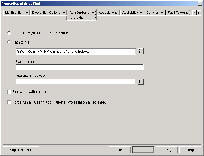�A�v���P�[�V�����I�u�W�F�N�g>�mRun Options�n�^�u>�mApplication�n�y�[�W