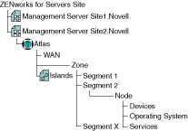 ftHgNovell ZENworks Server ManagementTCg