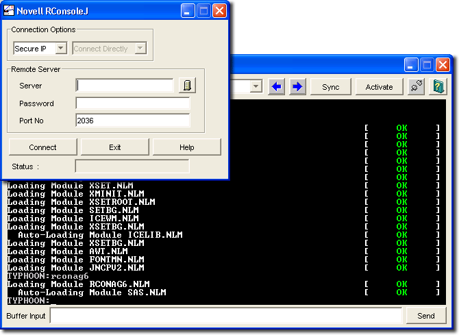 Interfejs programu RConsoleJ.