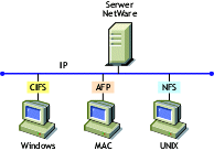 Protoko�y dost�pu do plik�w macierzystych Novell
