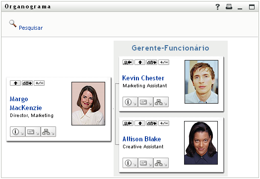 O Organograma padrão de login de um usuário