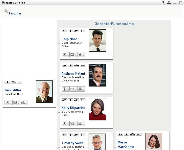 O organograma do usuário mostra dois níveis de gerenciamento acima do usuário