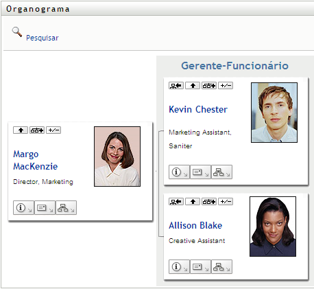 Uma visão de um Organograma