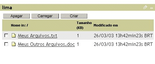 Tela do gadget de compartilhamento de arquivos da comunidade