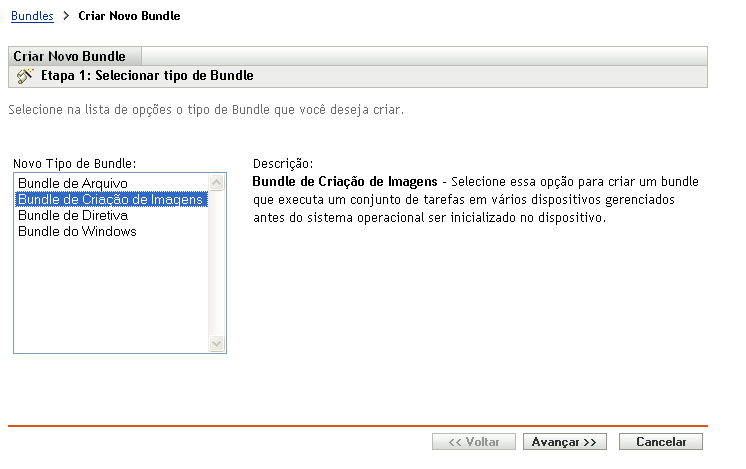 Página Selecionar Tipo de Bundle