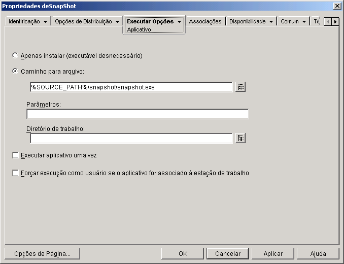 Objeto Aplicativo > guia Executar Opções > página Aplicativo