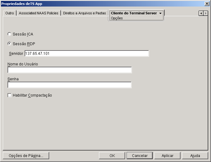 Objeto Aplicativo > guia Cliente do Terminal Server > página Opções