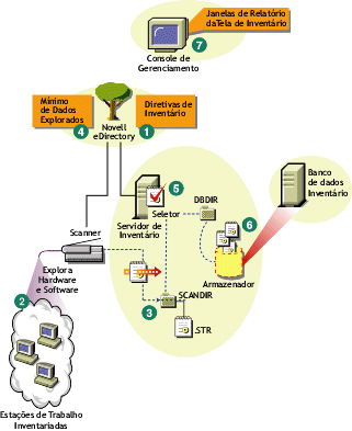 O ciclo de explorao de inventrio no cenrio Standalone consiste em estaes de trabalho que tm o Novell Client instalado.