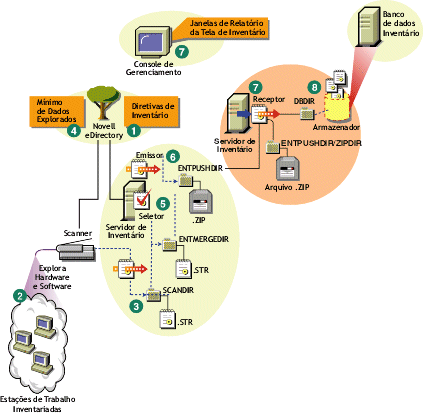 O ciclo de exploração de inventário no cenário Roll-Up consiste em estações de trabalho que têm o Novell Client instalado.