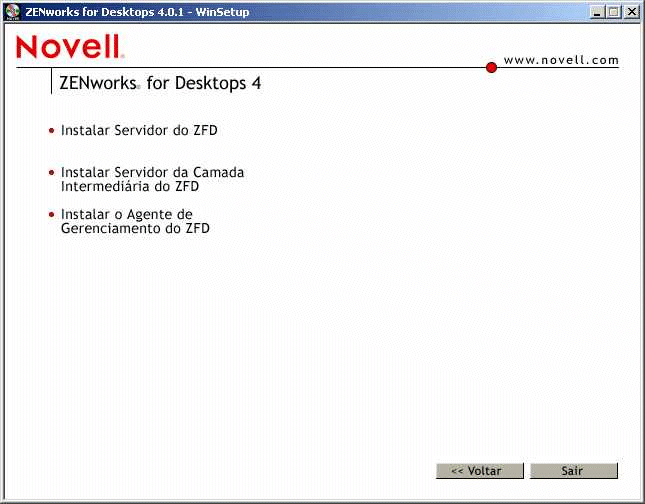 Página de opções de instalação do ZfD