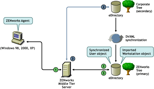 Usando o Agente do Desktop Management para autenticao em um domnio primrio.