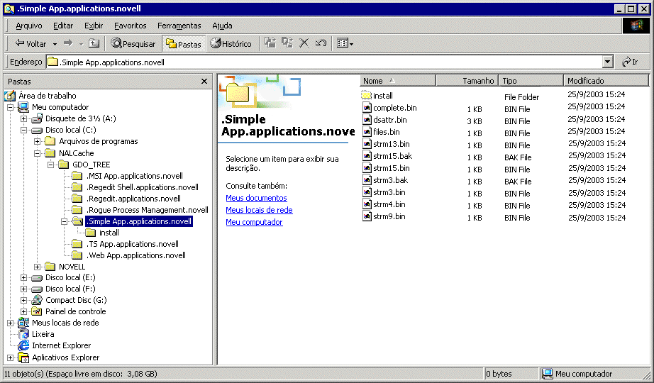 Diretrio de cache do NAL em uma unidade local