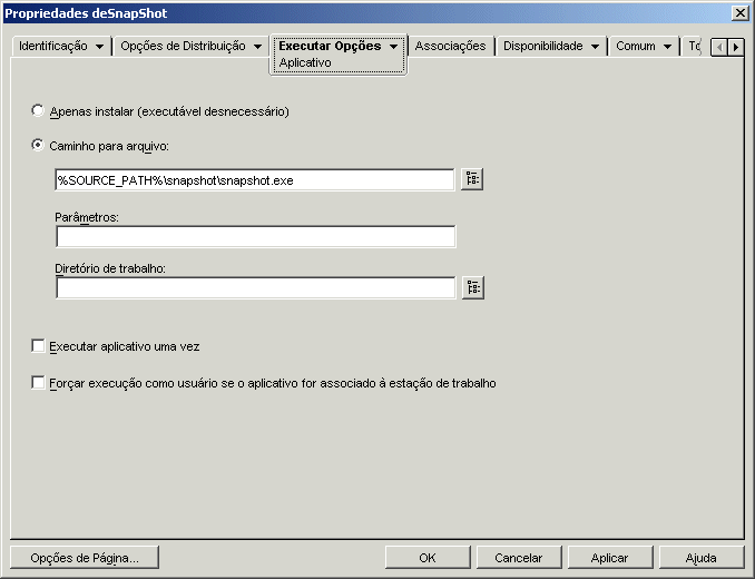 Objeto Aplicativo > guia Executar Opes > pgina Aplicativo