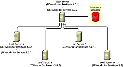 Servidores Folha com verses diferentes do ZENworks for Desktops 3.2, do ZENworks for Desktops 4.x ou do ZENworks for Servers 3.0.2, fazendo roll-up das informaes de inventrio para o Servidor Raiz, que possui o ZENworks for Desktops 4.0.1 e o ZENworks for Servers 3.0.2 instalados.
