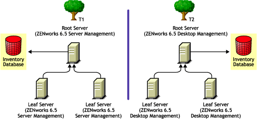 Duas rvores do eDirectory com rvores de Inventrio do ZENworks 6.5 Server Management e do ZENworks 6.5 Desktop Management em cada uma delas.