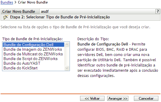 página Etapa 2 para criar um novo bundle: Selecionar Tipo de Bundle de Pré-inicialização