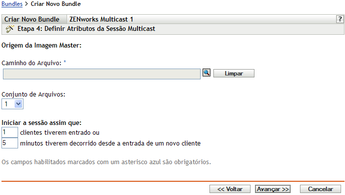Etapa 4 para criar um novo bundle: Origem da Imagem Master (campos Caminho do arquivo e Conjunto de arquivos)