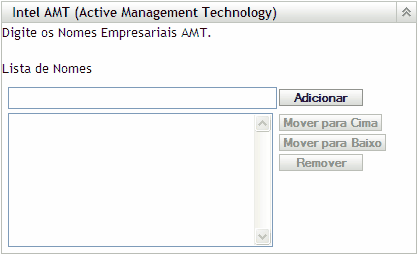 Seção de configuração Intel AMT (Active Management Technology)