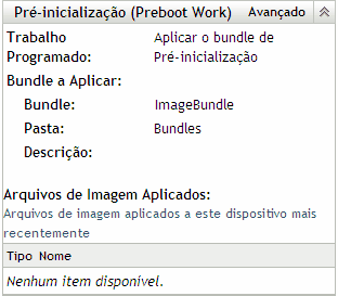 Seção Pré-inicialização (Preboot Work) com a opção Avançado