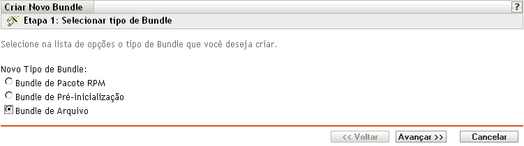 Página Seleção de Bundle de Arquivo
