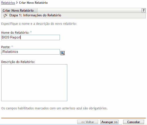 página Informações do Relatório