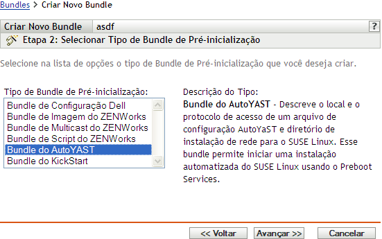 página Etapa 2 para criar um novo bundle: Selecionar Tipo de Bundle de Pré-inicialização