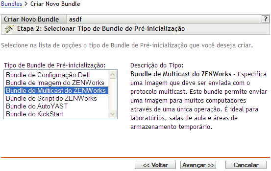 Etapa 2 para criar um novo bundle: Selecionar Tipo de Bundle de Pré-inicialização