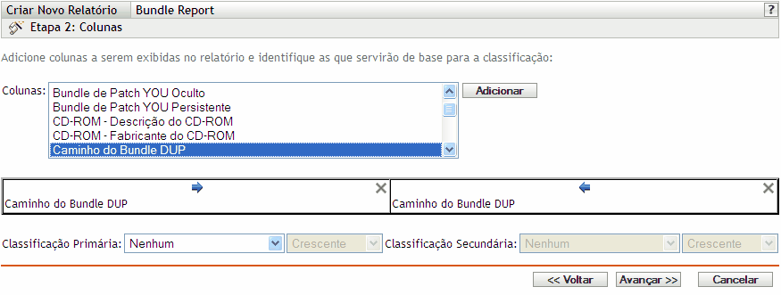 Página Etapa 2: Colunas