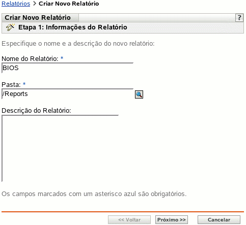 Página Informações do Relatório